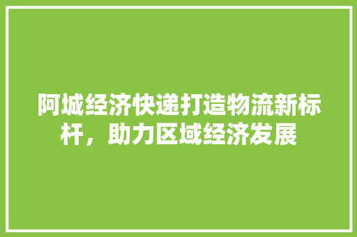 阿城经济快递打造物流新标杆，助力区域经济发展
