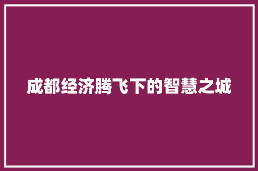 成都经济腾飞下的智慧之城 成都经济腾飞下的智慧之城