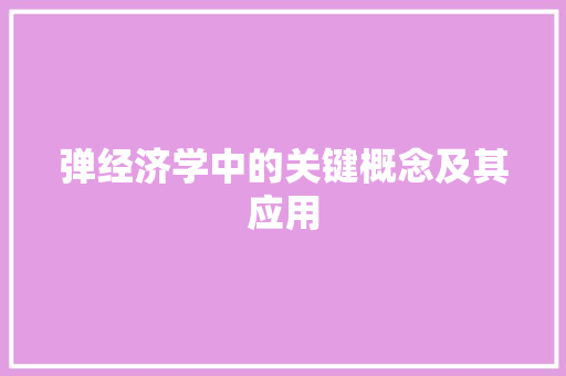 弹经济学中的关键概念及其应用