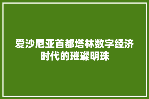 爱沙尼亚首都塔林数字经济时代的璀璨明珠 爱沙尼亚首都塔林数字经济时代的璀璨明珠