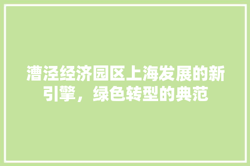 漕泾经济园区上海发展的新引擎,绿色转型的典范 漕泾经济园区上海发展的新引擎,绿色转型的典范