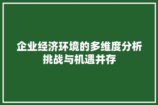 企业经济环境的多维度分析挑战与机遇并存 企业经济环境的多维度分析挑战与机遇并存