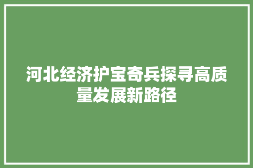 河北经济护宝奇兵探寻高质量发展新路径 河北经济护宝奇兵探寻高质量发展新路径