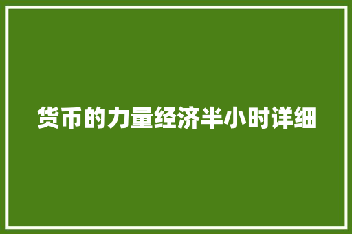 货币的力量经济半小时详细 货币的力量经济半小时详细