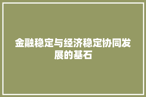 金融稳定与经济稳定协同发展的基石 金融稳定与经济稳定协同发展的基石