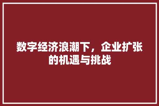 数字经济浪潮下,企业扩张的机遇与挑战 数字经济浪潮下,企业扩张的机遇与挑战