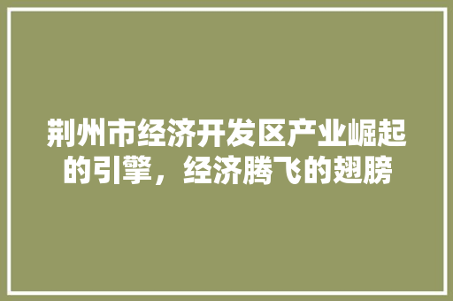 荆州市经济开发区产业崛起的引擎,经济腾飞的翅膀 荆州市经济开发区产业崛起的引擎,经济腾飞的翅膀