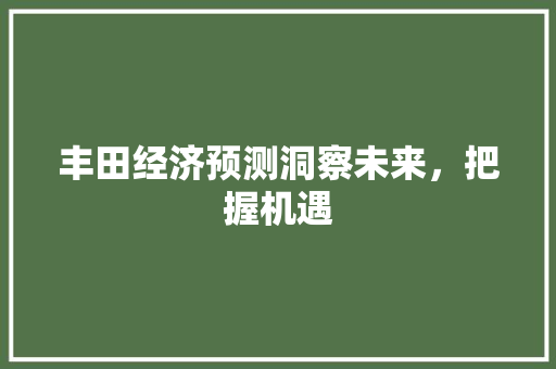 丰田经济预测洞察未来,把握机遇 丰田经济预测洞察未来,把握机遇