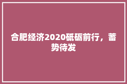 合肥经济2020砥砺前行,蓄势待发 合肥经济2020砥砺前行,蓄势待发