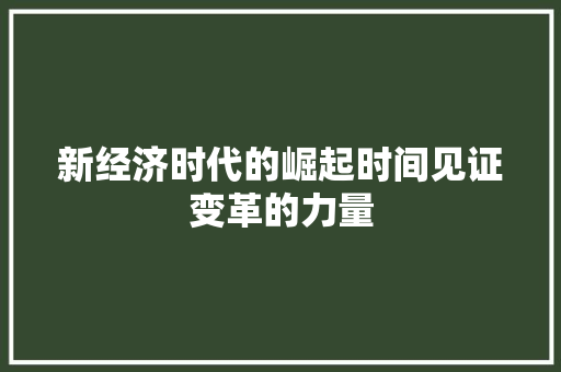 新经济时代的崛起时间见证变革的力量