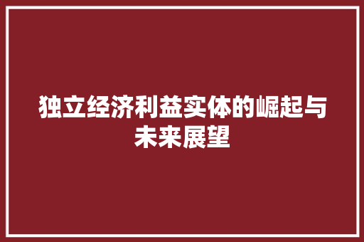 独立经济利益实体的崛起与未来展望 独立经济利益实体的崛起与未来展望