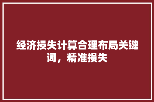 经济损失计算合理布局关键词,精准损失 经济损失计算合理布局关键词,精准损失