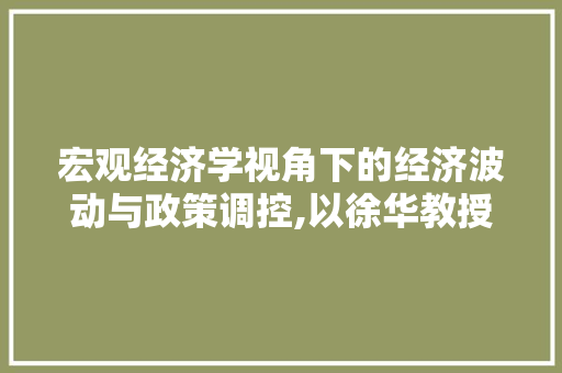 宏观经济学视角下的经济波动与政策调控,以徐华教授的学说为例