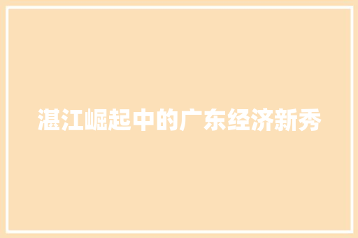 湛江崛起中的广东经济新秀 湛江崛起中的广东经济新秀