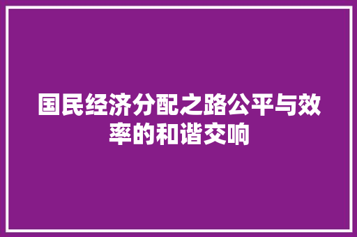 国民经济分配之路公平与效率的和谐交响