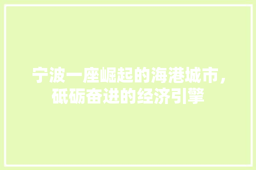 宁波一座崛起的海港城市,砥砺奋进的经济引擎 宁波一座崛起的海港城市,砥砺奋进的经济引擎