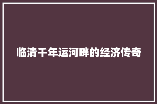 临清千年运河畔的经济传奇 临清千年运河畔的经济传奇