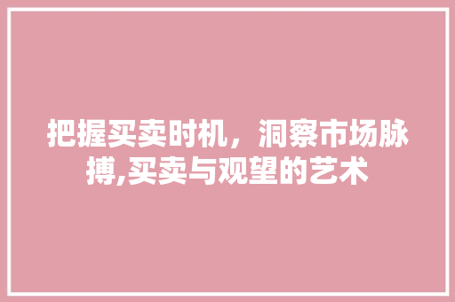 把握买卖时机，洞察市场脉搏,买卖与观望的艺术