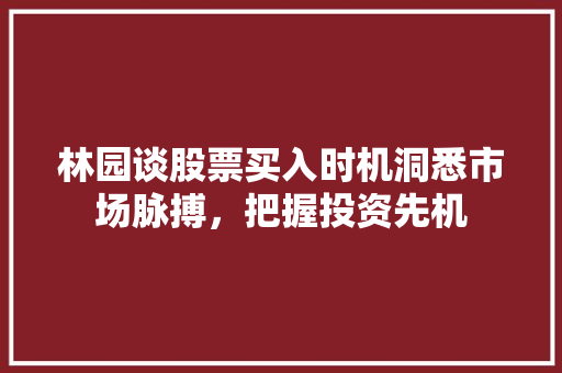 林园谈股票买入时机洞悉市场脉搏,把握投资先机 林园谈股票买入时机洞悉市场脉搏,把握投资先机