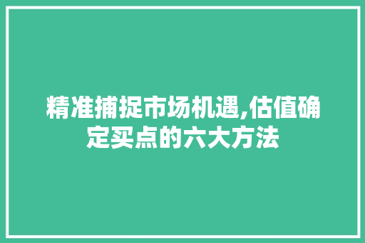 精准捕捉市场机遇,估值确定买点的六大方法 精准捕捉市场机遇,估值确定买点的六大方法