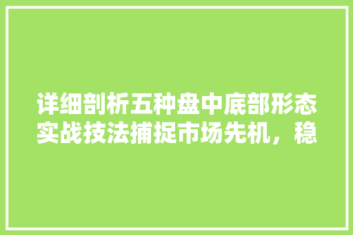 详细剖析五种盘中底部形态实战技法捕捉市场先机,稳健盈利之路 详细剖析五种盘中底部形态实战技法捕捉市场先机,稳健盈利之路