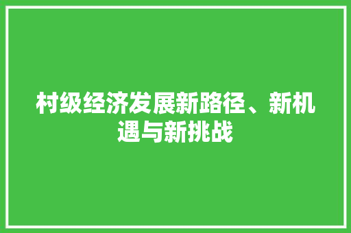 村级经济发展新路径、新机遇与新挑战 村级经济发展新路径、新机遇与新挑战