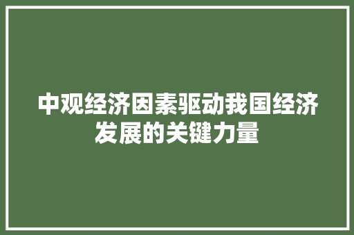 中观经济因素驱动我国经济发展的关键力量 中观经济因素驱动我国经济发展的关键力量