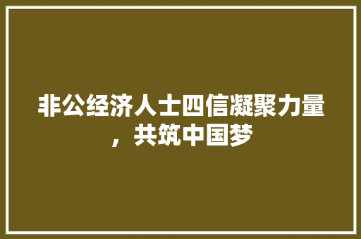 非公经济人士四信凝聚力量,共筑中国梦 非公经济人士四信凝聚力量,共筑中国梦