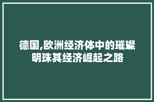 德国,欧洲经济体中的璀璨明珠其经济崛起之路 德国,欧洲经济体中的璀璨明珠其经济崛起之路