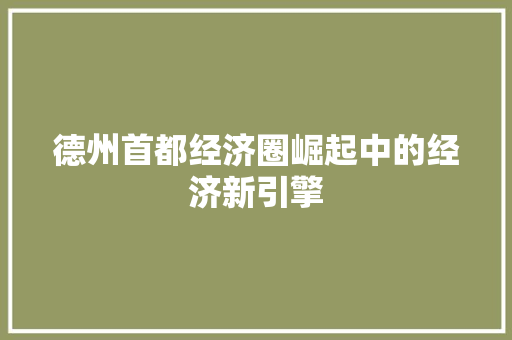 德州首都经济圈崛起中的经济新引擎 德州首都经济圈崛起中的经济新引擎