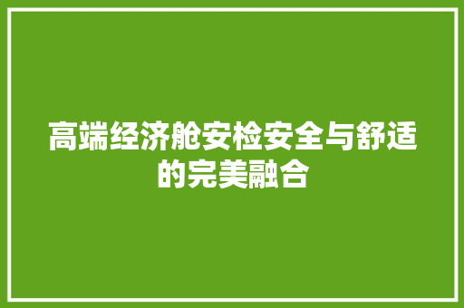 高端经济舱安检安全与舒适的完美融合 高端经济舱安检安全与舒适的完美融合