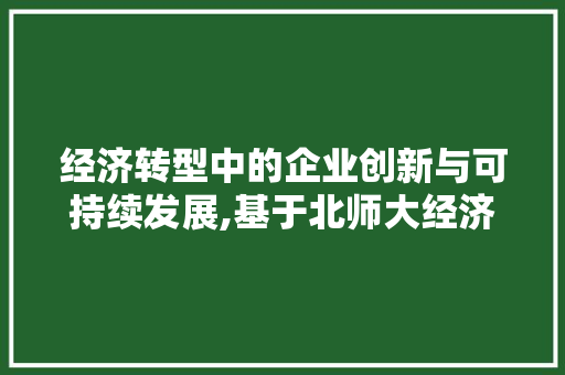 经济转型中的企业创新与可持续发展,基于北师大经济学博士的研究视角 经济转型中的企业创新与可持续发展,基于北师大经济学博士的研究视角