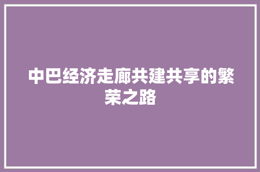 中巴经济走廊共建共享的繁荣之路 中巴经济走廊共建共享的繁荣之路