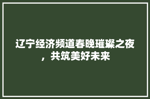 辽宁经济频道春晚璀璨之夜,共筑美好未来 辽宁经济频道春晚璀璨之夜,共筑美好未来