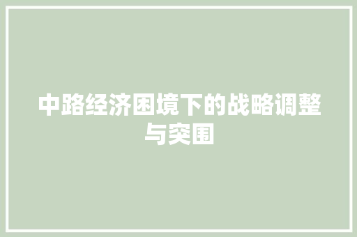 中路经济困境下的战略调整与突围 中路经济困境下的战略调整与突围