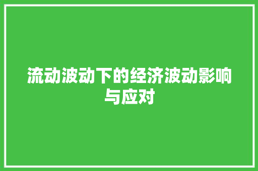流动波动下的经济波动影响与应对 流动波动下的经济波动影响与应对
