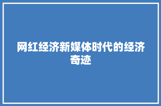 网红经济新媒体时代的经济奇迹 网红经济新媒体时代的经济奇迹
