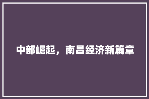 中部崛起,南昌经济新篇章 中部崛起,南昌经济新篇章