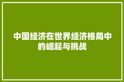 中国经济在世界经济格局中的崛起与挑战 中国经济在世界经济格局中的崛起与挑战