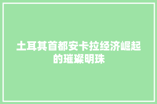 土耳其首都安卡拉经济崛起的璀璨明珠 土耳其首都安卡拉经济崛起的璀璨明珠
