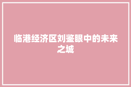 临港经济区刘鉴眼中的未来之城 临港经济区刘鉴眼中的未来之城