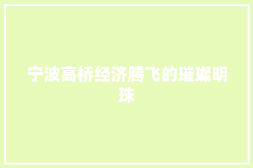 宁波高桥经济腾飞的璀璨明珠 宁波高桥经济腾飞的璀璨明珠