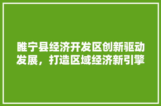 睢宁县经济开发区创新驱动发展,打造区域经济新引擎 睢宁县经济开发区创新驱动发展,打造区域经济新引擎