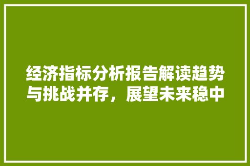 经济指标分析报告解读趋势与挑战并存,展望未来稳中求进 经济指标分析报告解读趋势与挑战并存,展望未来稳中求进