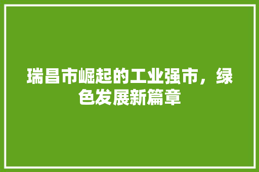瑞昌市崛起的工业强市,绿色发展新篇章 瑞昌市崛起的工业强市,绿色发展新篇章