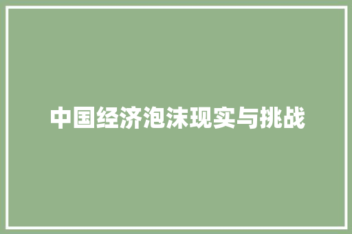 中国经济泡沫现实与挑战 中国经济泡沫现实与挑战
