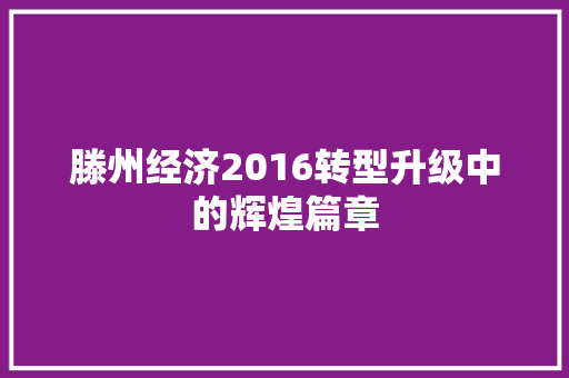 滕州经济2016转型升级中的辉煌篇章 滕州经济2016转型升级中的辉煌篇章