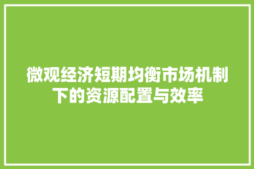 微观经济短期均衡市场机制下的资源配置与效率