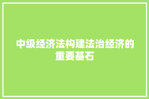 中级经济法构建法治经济的重要基石