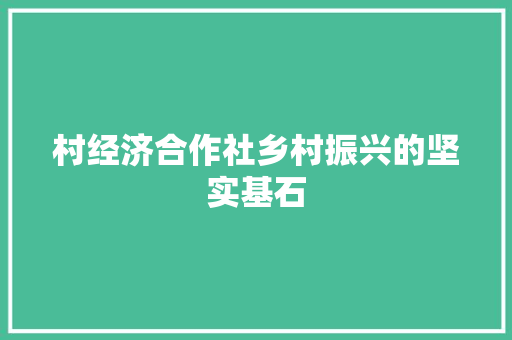 村经济合作社乡村振兴的坚实基石 村经济合作社乡村振兴的坚实基石